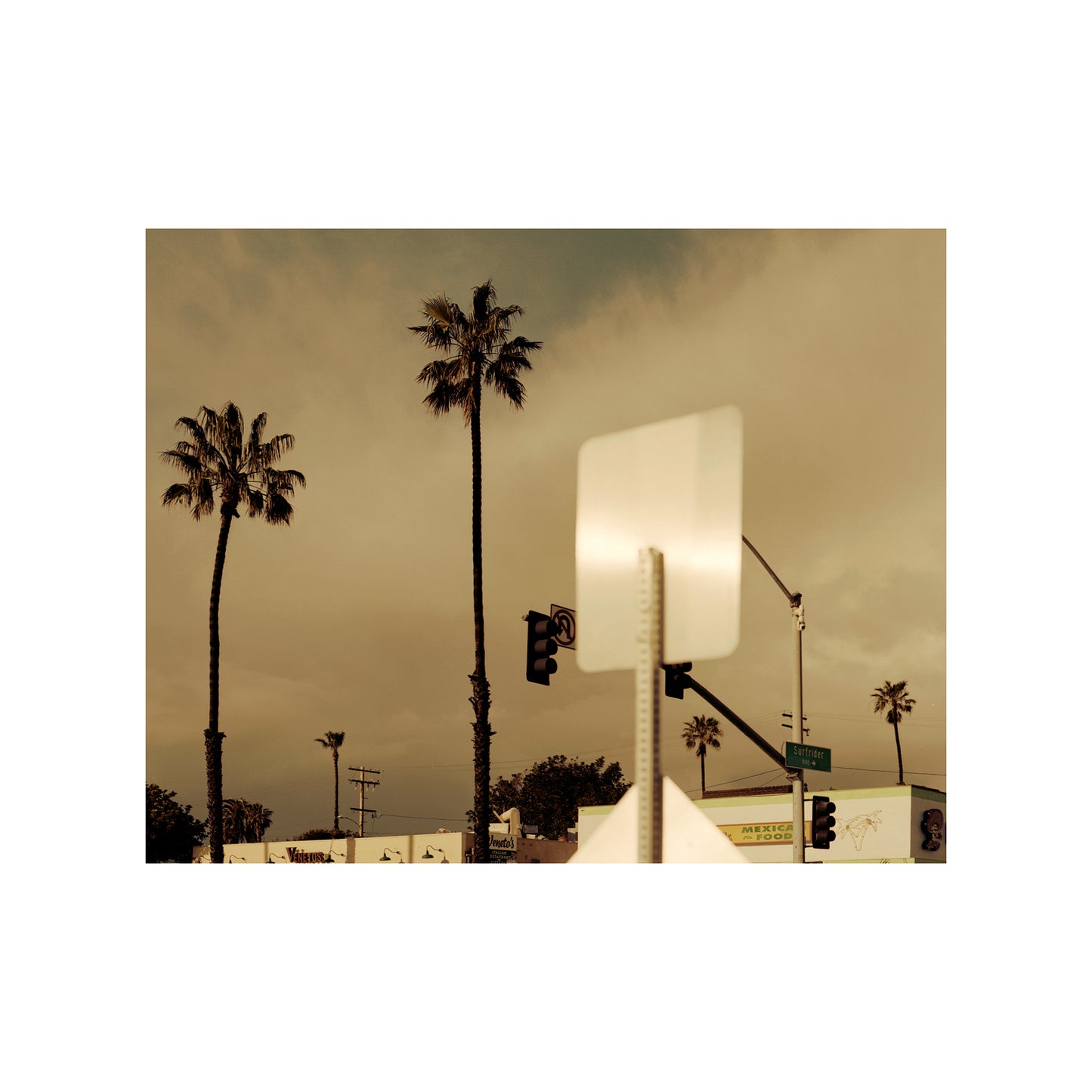 Street Sign and Palm trees, Carlsbad, CA 2023