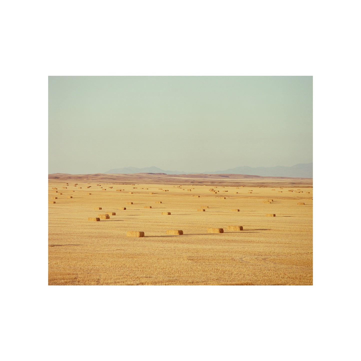 Hayed Field, MT 2022