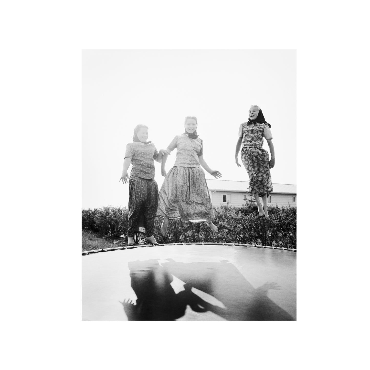 Trampoline, Gilford, MT 2022