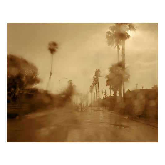 Rainstorm, Los Angeles, CA 2023